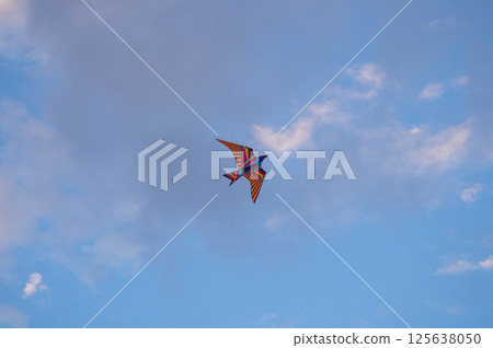 Kite Festival. Kites in the sky. A spectacle . Wind is like a force. air objects. Various forms. A beautiful sight.  Aerodynamics. Object in the sky 125638050
