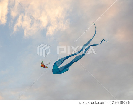 Kite Festival. Kites in the sky. A spectacle . Wind is like a force. air objects. Various forms. A beautiful sight. Aerodynamics. Object in the sky. Kite Festival. Kites in the sky. A spectacle . Wind is like a force. air objects. Various forms. A beautiful sight. Aerodynamics. Object in the sky. 125638056