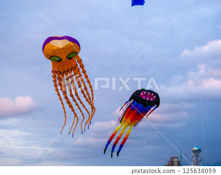 Kite Festival. Kites in the sky. A spectacle . Wind is like a force. air objects. Various forms. A beautiful sight. Aerodynamics. Object in the sky. Kite Festival. Kites in the sky. A spectacle . Wind is like a force. air objects. Various forms. A beautiful sight. Aerodynamics. Object in the sky. 125638059