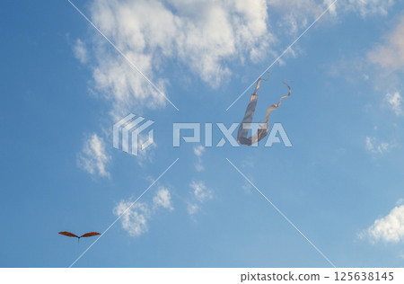 Kite Festival. Kites in the sky. A spectacle in the sky. Wind is like a force. air objects. Various forms. A beautiful sight. 125638145