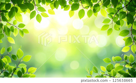 Green natural background 125638665