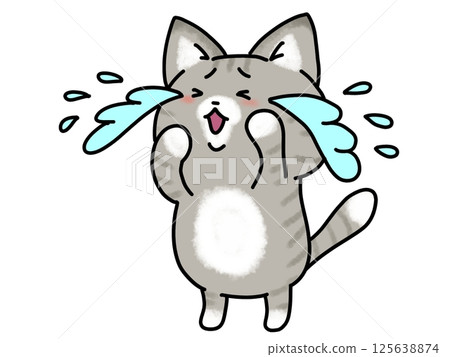 A crying cat A crying cat 125638874