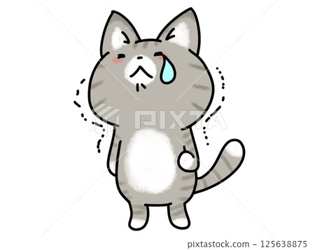 Shaking and crying cat Shaking and crying cat 125638875