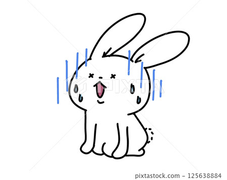 The surprised rabbit 125638884