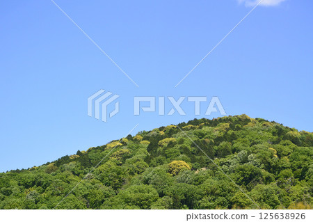 鮮綠色的山 125638926