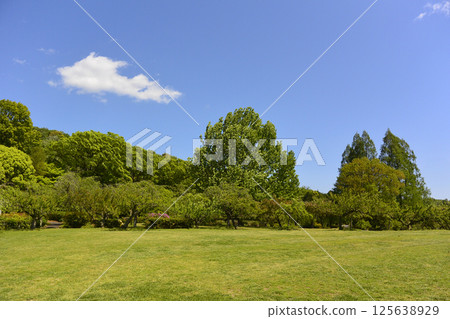 藍天和公園 藍天和公園 125638929