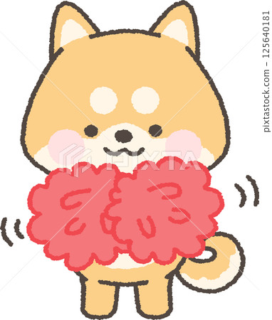 一隻棕色的柴犬拿著絨球歡呼 125640181