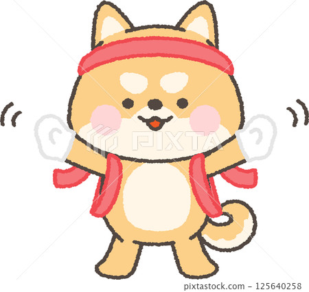 啦啦隊裡的一隻棕色柴犬，戴著腰帶和頭帶 125640258