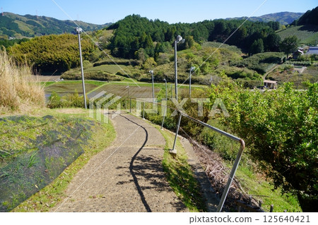 大友安麻呂之墓 - 攀登陡峭的山坡 大友安麻呂之墓 - 攀登陡峭的山坡 125640421