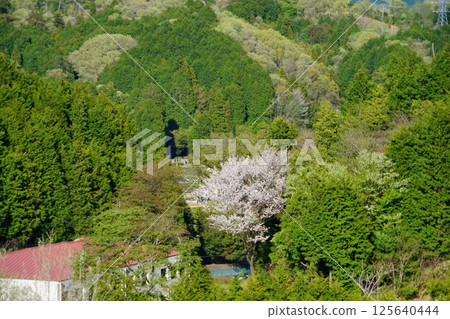 Emperor Kasuga's Mausoleum as seen from the heights of the Nara Prefecture heliport Emperor Kasuga's Mausoleum as seen from the heights of the Nara Prefecture heliport 125640444