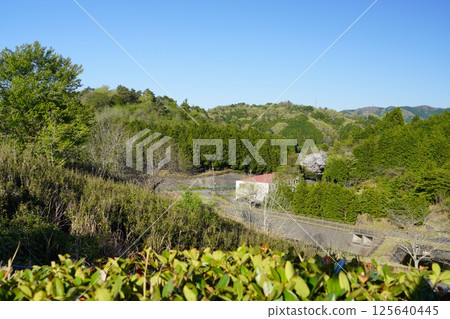 Emperor Kasuga's Mausoleum as seen from the heights of the Nara Prefecture heliport Emperor Kasuga's Mausoleum as seen from the heights of the Nara Prefecture heliport 125640445