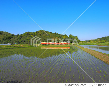 行駛在新綠中的小湊鐵道 125640544