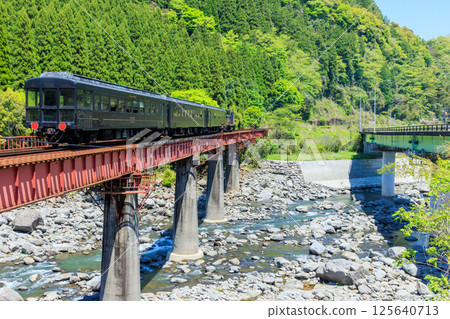 Early summer express Yufuin DE10 Kusu District, Oita Prefecture 125640713