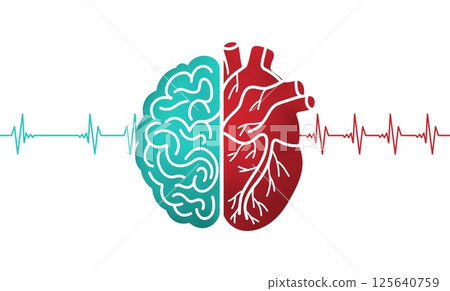 Educational illustration combining a human brain and heart, electrocardiogram line, mental and emotional health, psychology, emotional intelligence, neuroscience, human anatomy concepts Educational illustration combining a human brain and heart, electrocardiogram line, mental and emotional health, psychology, emotional intelligence, neuroscience, human anatomy concepts 125640759