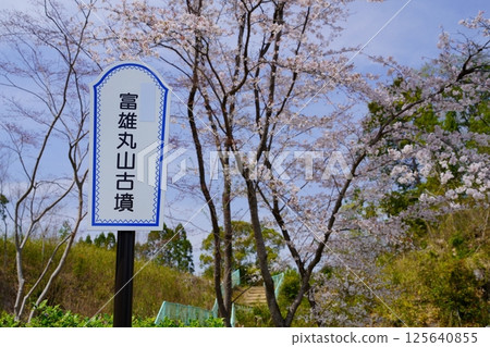 Tomio Maruyama Tomb, cherry blossoms and guide sign 125640855