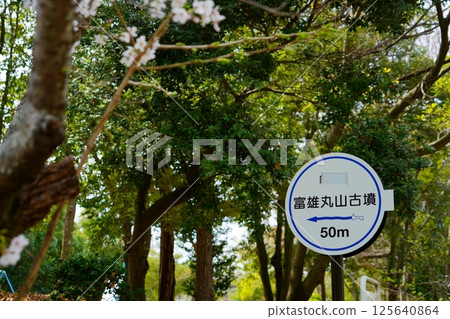 丸山富雄墓:資訊標誌 丸山富雄墓:資訊標誌 125640864