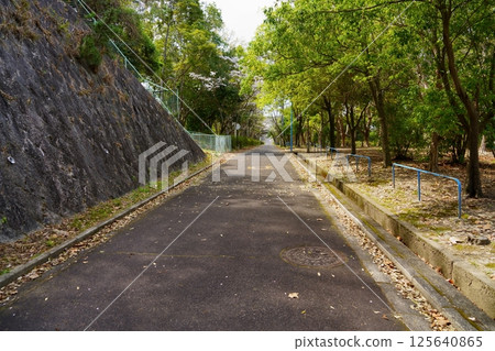 丸山富雄古墓:週邊公園 丸山富雄古墓:週邊公園 125640865