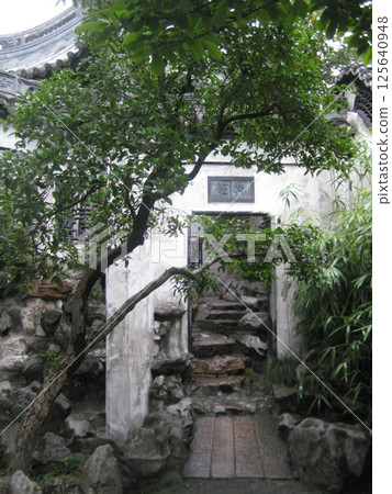 A hollowed-out gate amid the greenery of Yuyuan Garden 125640948