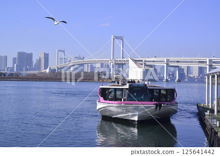 Harbor Bridge as seen from the Rainbow Bridge sightseeing boat Harbor Bridge as seen from the Rainbow Bridge sightseeing boat 125641442