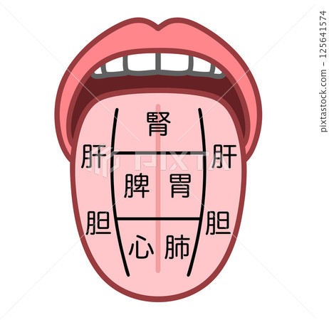 Oriental medicine tongue diagnosis illustration: how the tongue can tell you the health of your organs Oriental medicine tongue diagnosis illustration: how the tongue can tell you the health of your organs 125641574