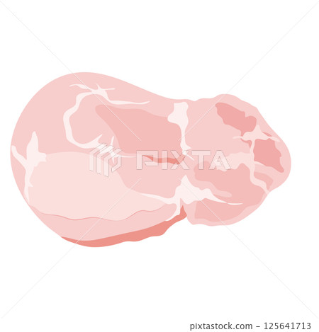 Illustration of chicken thigh Illustration of chicken thigh 125641713