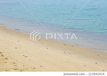 Amanohashidate: Beautiful sea (Miyazu City, Kyoto Prefecture) Amanohashidate: Beautiful sea (Miyazu City, Kyoto Prefecture) 125642918