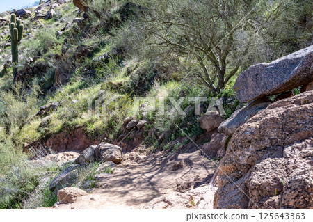 Cholla Trail trail down from Camelback Mountain in Phoenix, Arizona with gentle ascent  125643363