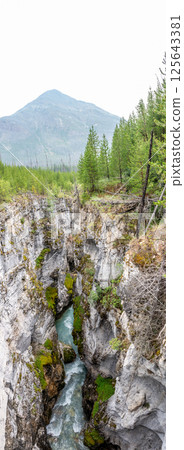 Vertical panoramic view down the Marble Canyon Trail along the Tokumm Creek in the Kootenay National Park Vertical panoramic view down the Marble Canyon Trail along the Tokumm Creek in the Kootenay National Park 125643381