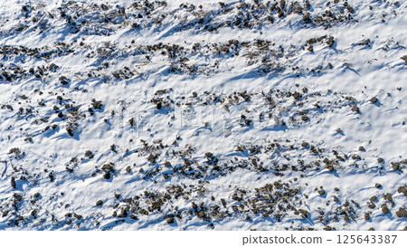 Drone view over a snow covered agriculture field with cultivated rows from crops. 125643387