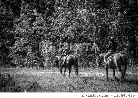 Line of tourists riding horses into the wilderness at Banff National Park, Canada 125643439