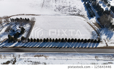 Aerial drone view above a coniferous tree windbreak on a property line. Aerial drone view above a coniferous tree windbreak on a property line. 125643446