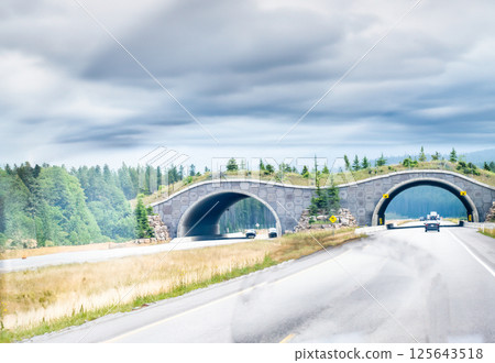 Wildlife overpass over a divided highway in Banff Canada 125643518