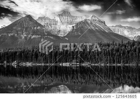 Reflection of BowCrow Peak lined with pine trees in Bow Lake, Banff National Park Reflection of BowCrow Peak lined with pine trees in Bow Lake, Banff National Park 125643605