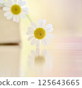 Small flowers 125643665