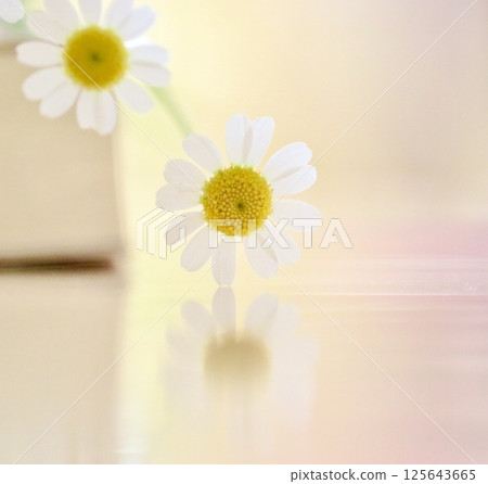 Small flowers Small flowers 125643665