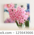 Hyacinth 125643666
