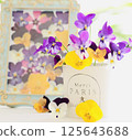 Viola table photo 125643688