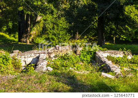 Brest Fortress castle building walls gates ruins in nature Belarus. Brest Fortress castle building walls gates ruins in nature Belarus. 125643771
