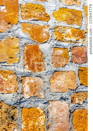 Old Brest Fortress castle building wall gate ruins texture Belarus. 125643779