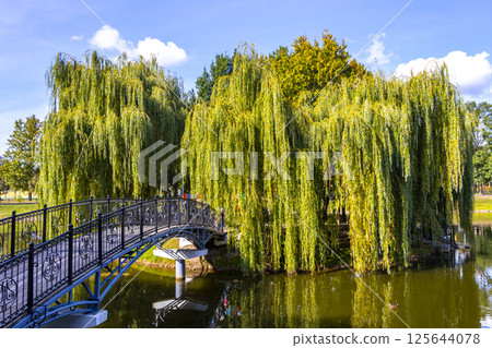 Brest City Park Belarus green nature river lake pond bridge. 125644078