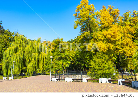 Brest City Park Belarus green nature river lake pond bridge. Brest City Park Belarus green nature river lake pond bridge. 125644103