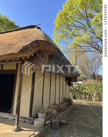 古老的茅草屋頂房屋和藍天 125644340