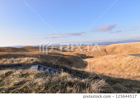 [Daikanbo Aso, Kumamoto Prefecture] Autumn and winter scenery of silver grass and the evening 125644517