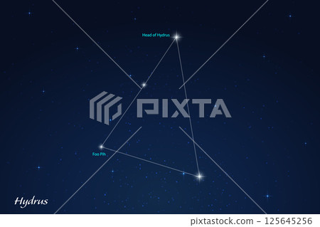 Hydrus Constellation with Star Names in Night Sky 125645256
