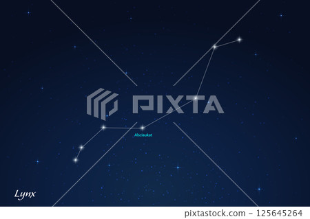 Lynx Constellation with Star Names in Night Sky 125645264