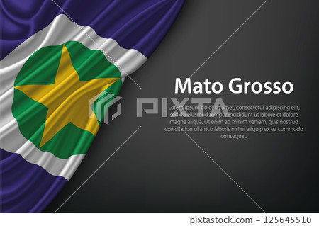 Mato Grosso state flag on fabric 125645510