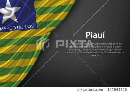Piaui state flag on fabric 125645516
