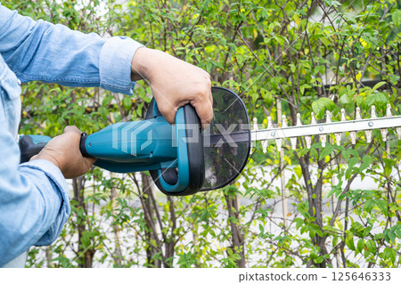 Woman taking care and growing plants, Hobby planting home garden, ornamental pruning. 125646333