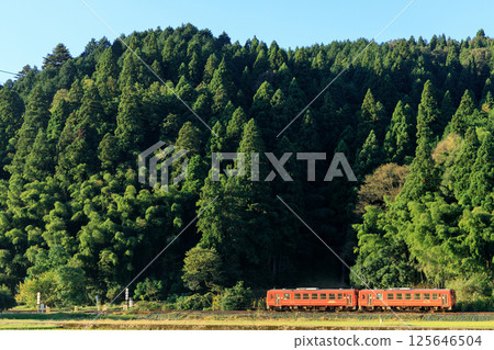 一輛行駛在越後南北陸線上的橙色柴油列車正穿過西山興聖寺附近的四級鐵路道口。 125646504