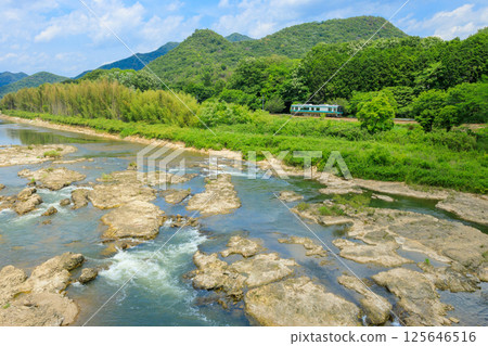從京道橋拍攝奇異的岩石和加古川線柴油火車 125646516